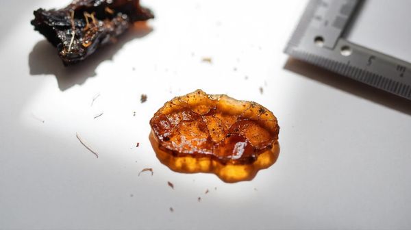 Top méthodes pour évaluer la pureté de la résine shilajit